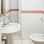 Il Lauro
