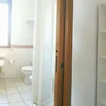 Il Lauro